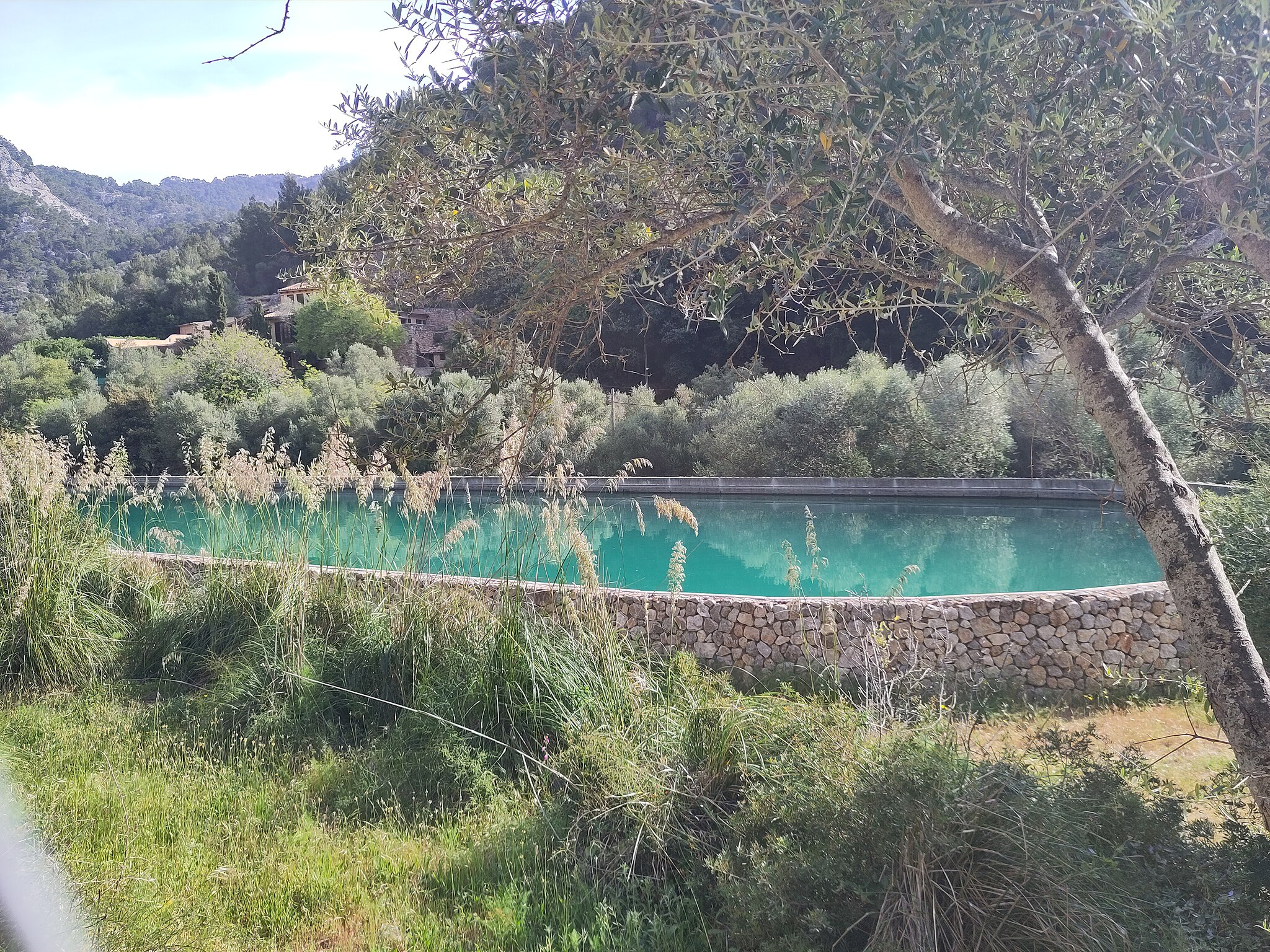 Alaró_Bassa_de_la_Font_de_les_Aritges