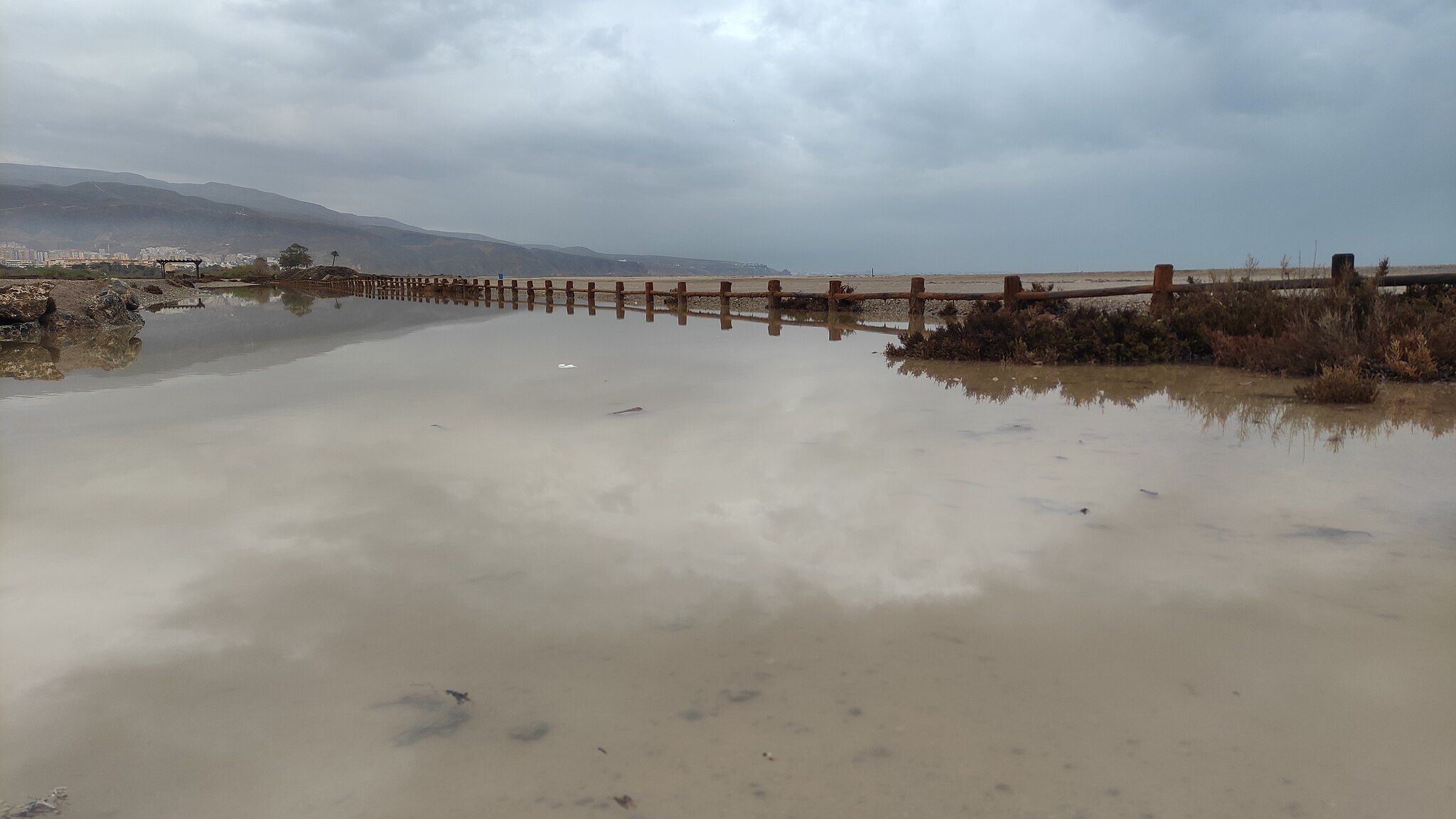 Algaida_2