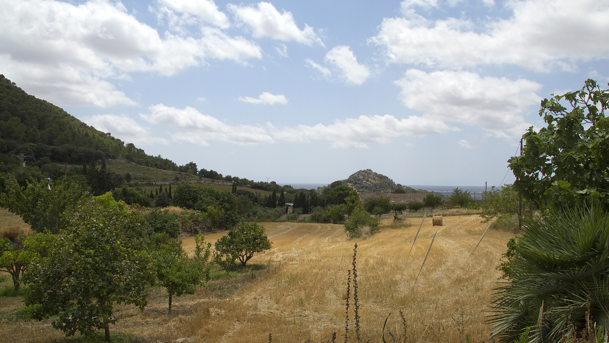 Algaida_panoramio_06