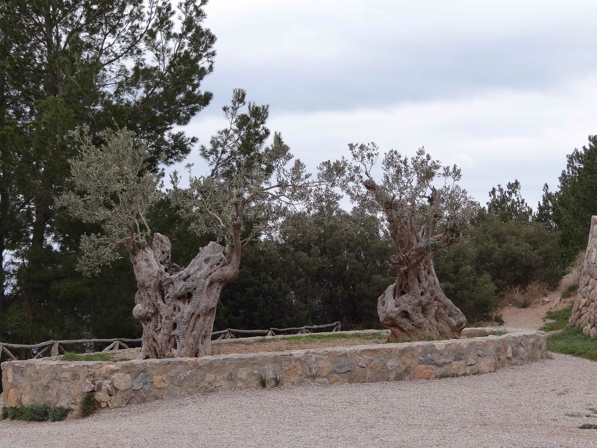 Banyalbufar_panoramio_(30)