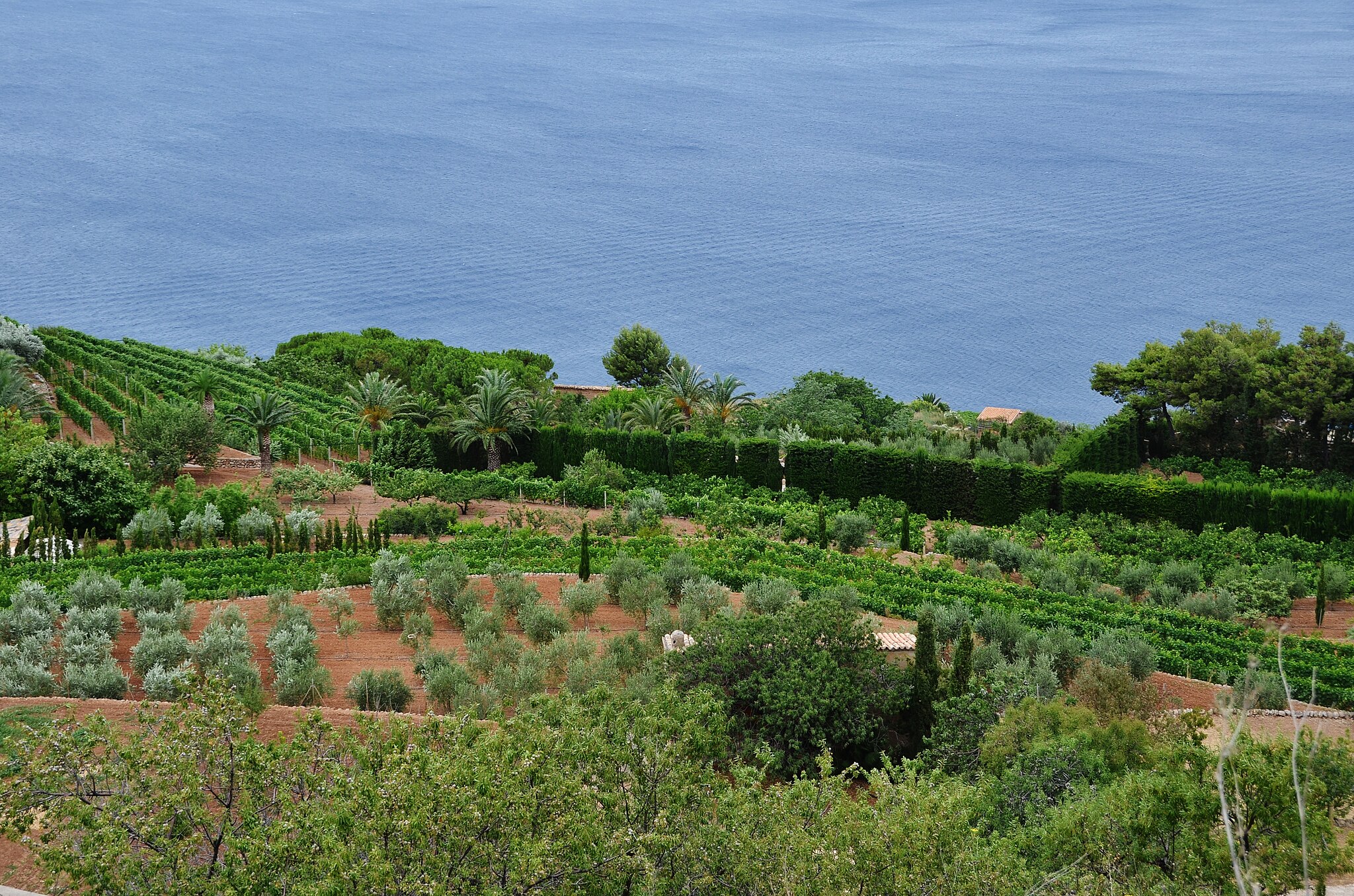 Cala_Banyalbufar_5