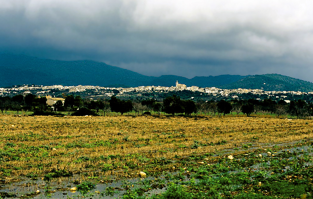 Campanet_1996_01