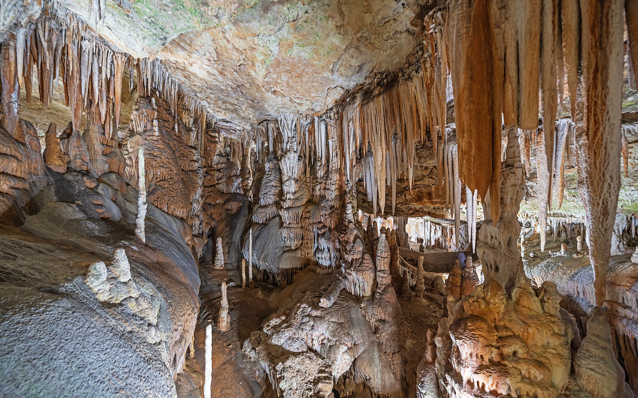 Cave_of_Campanet05