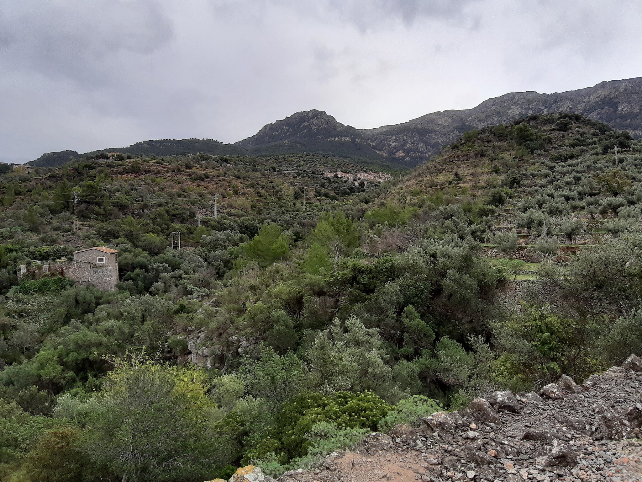Deià_14