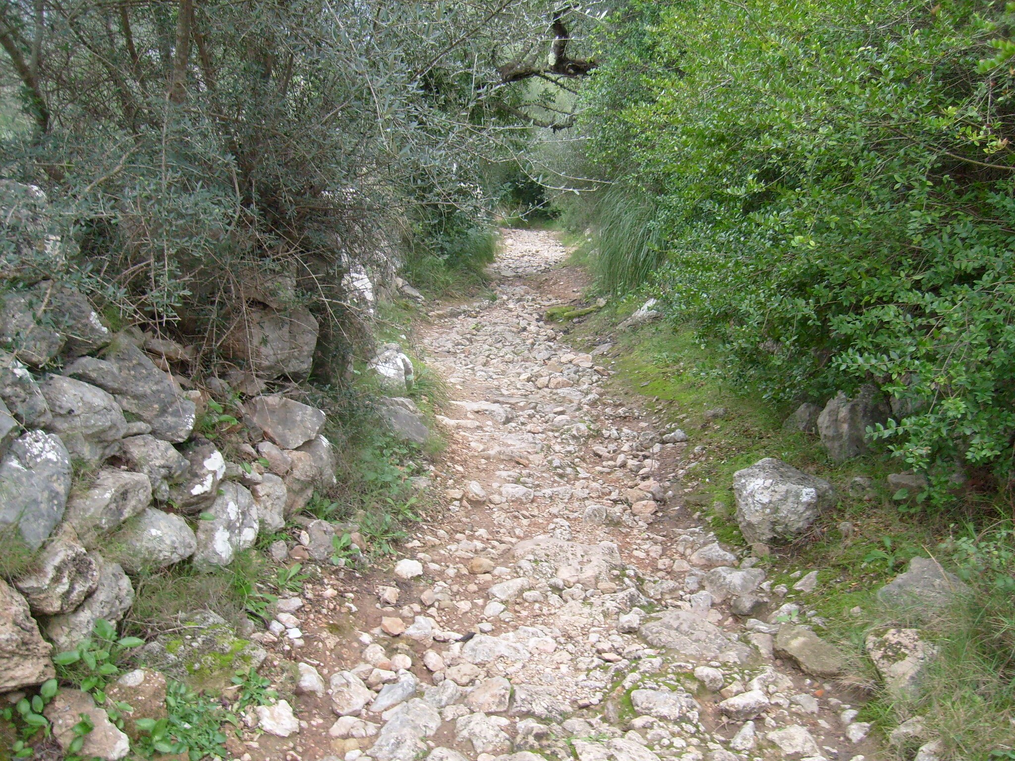 Deià_27
