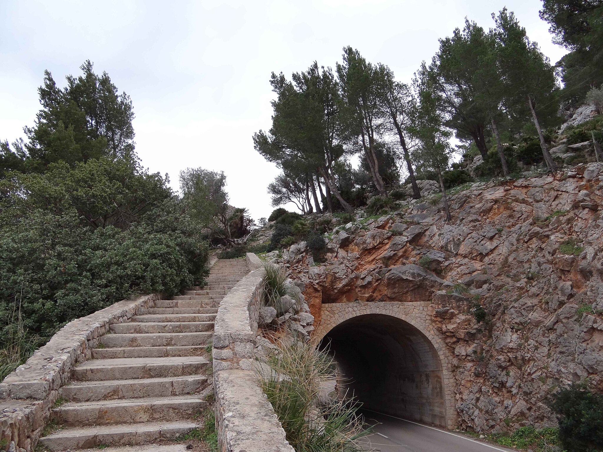 Estellencs_panoramio_(2)