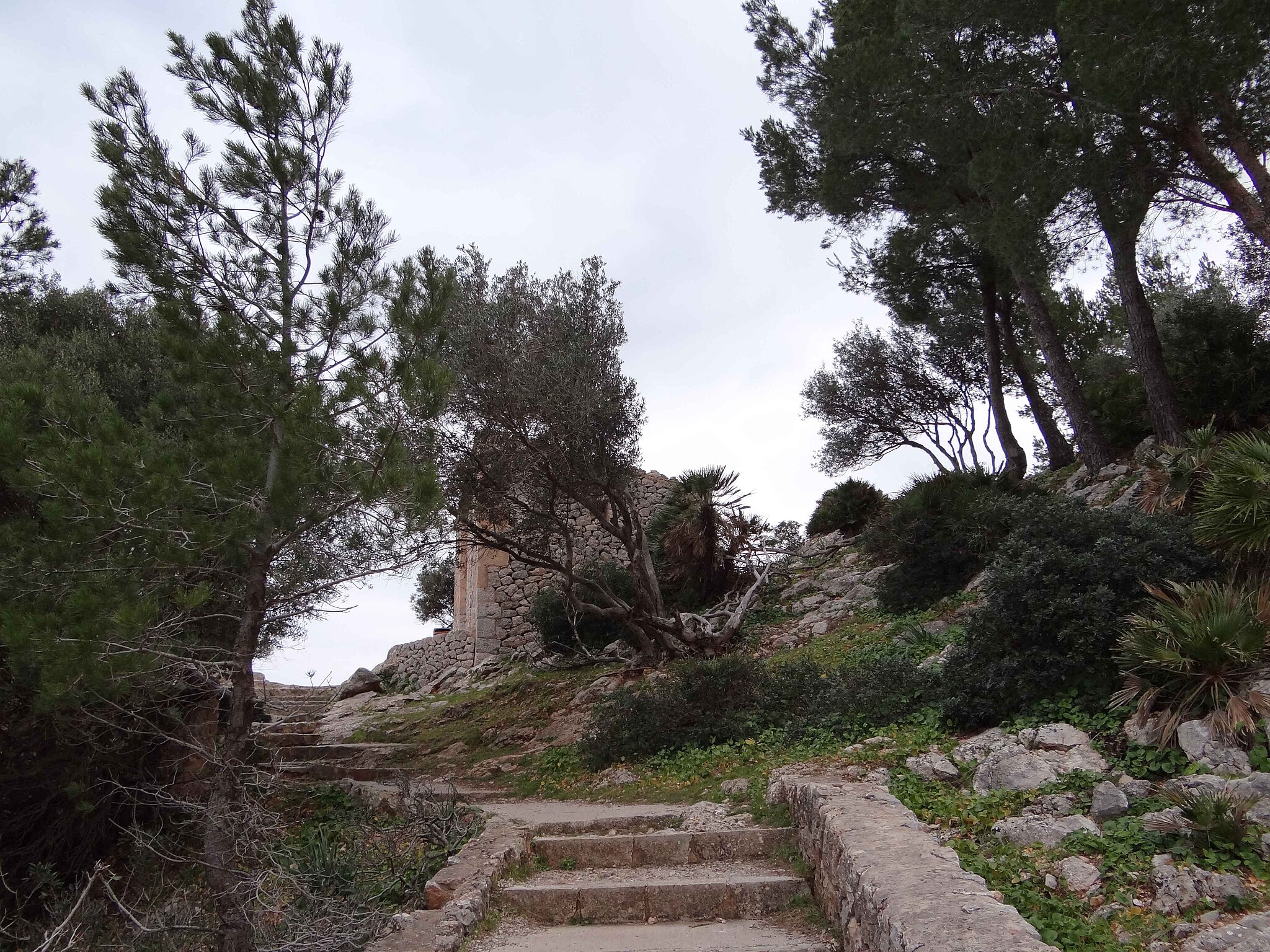 Estellencs_panoramio_(3)
