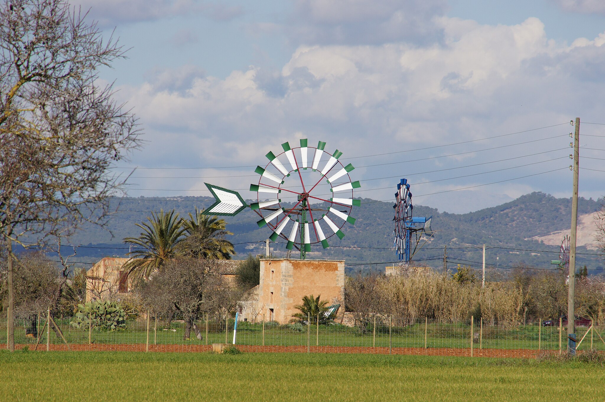 SONY DSC