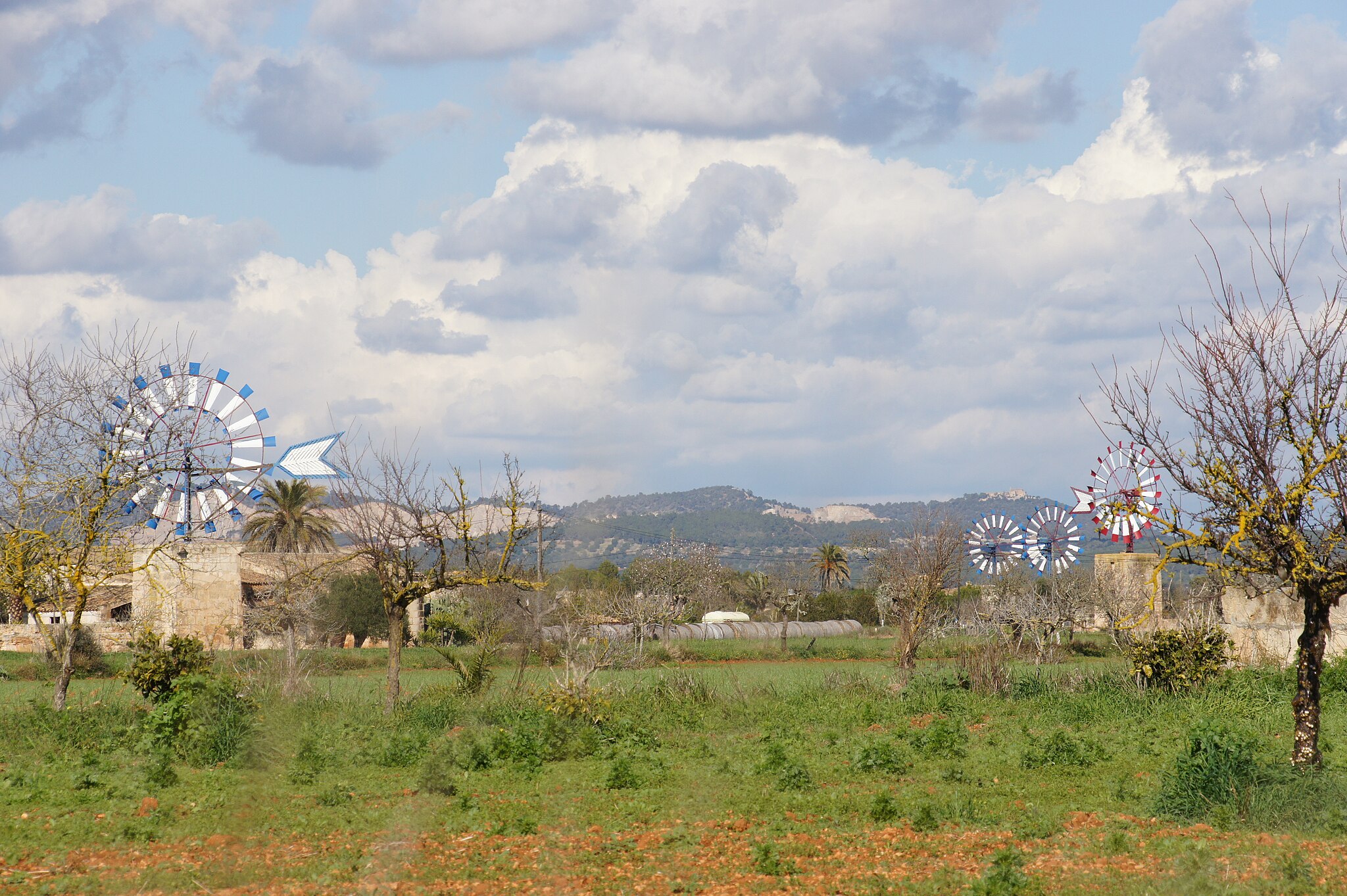 SONY DSC