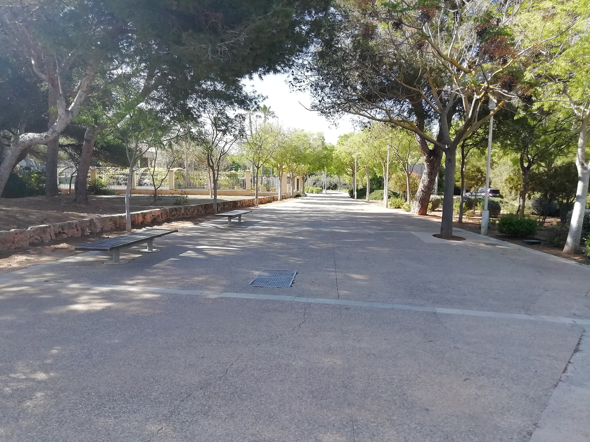 Paseo-calvia-eltoro