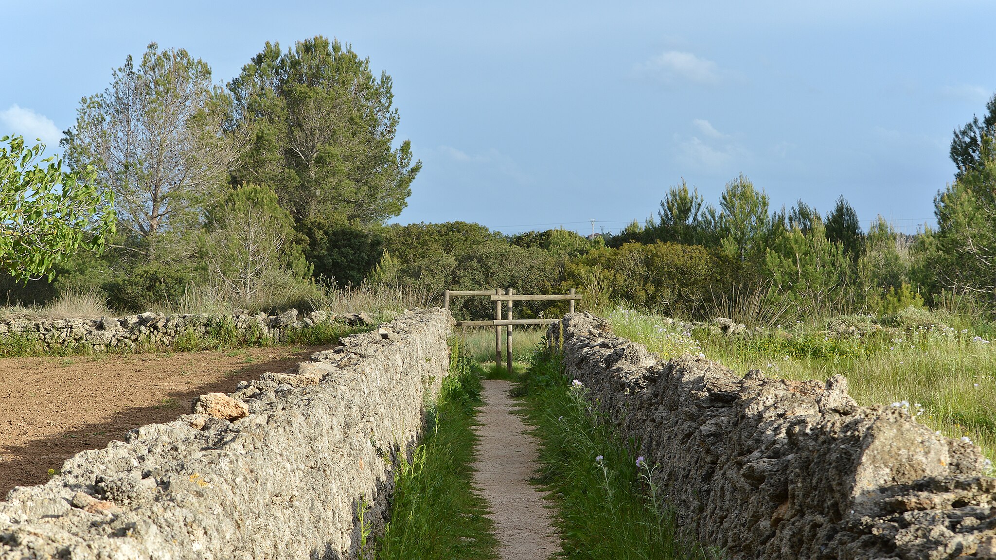 Path_Alcúdia