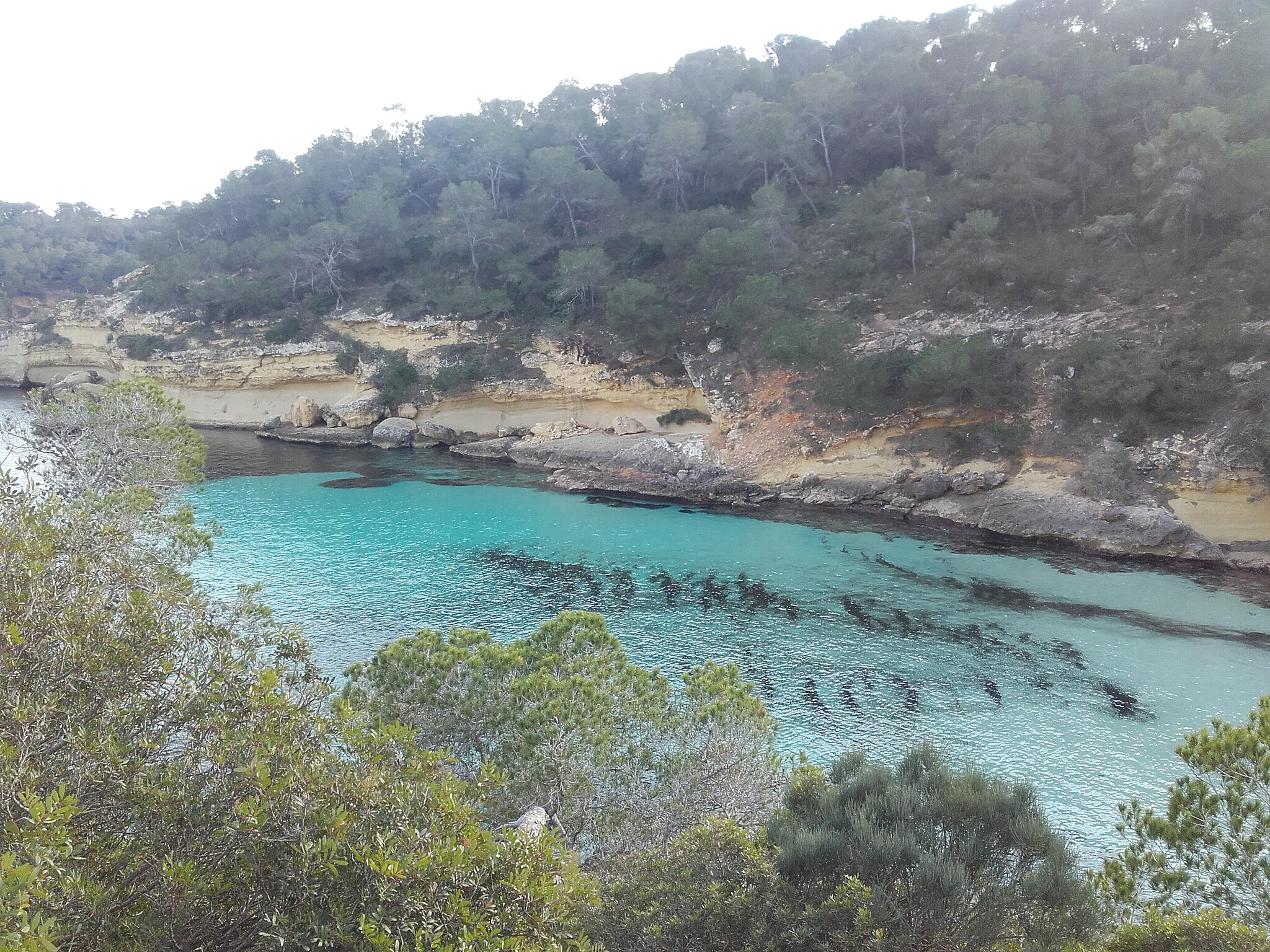 PlayaElMagoCalvia