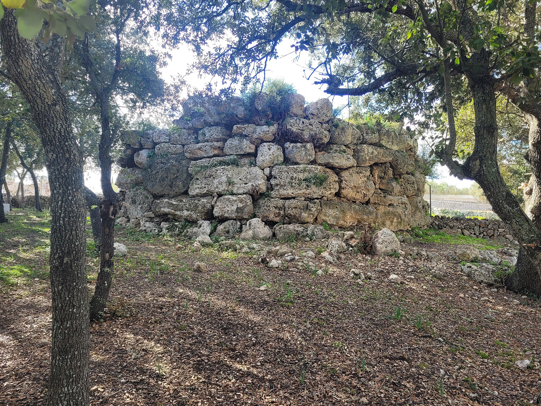 Talaiot_d’es_Racons,_Llubí