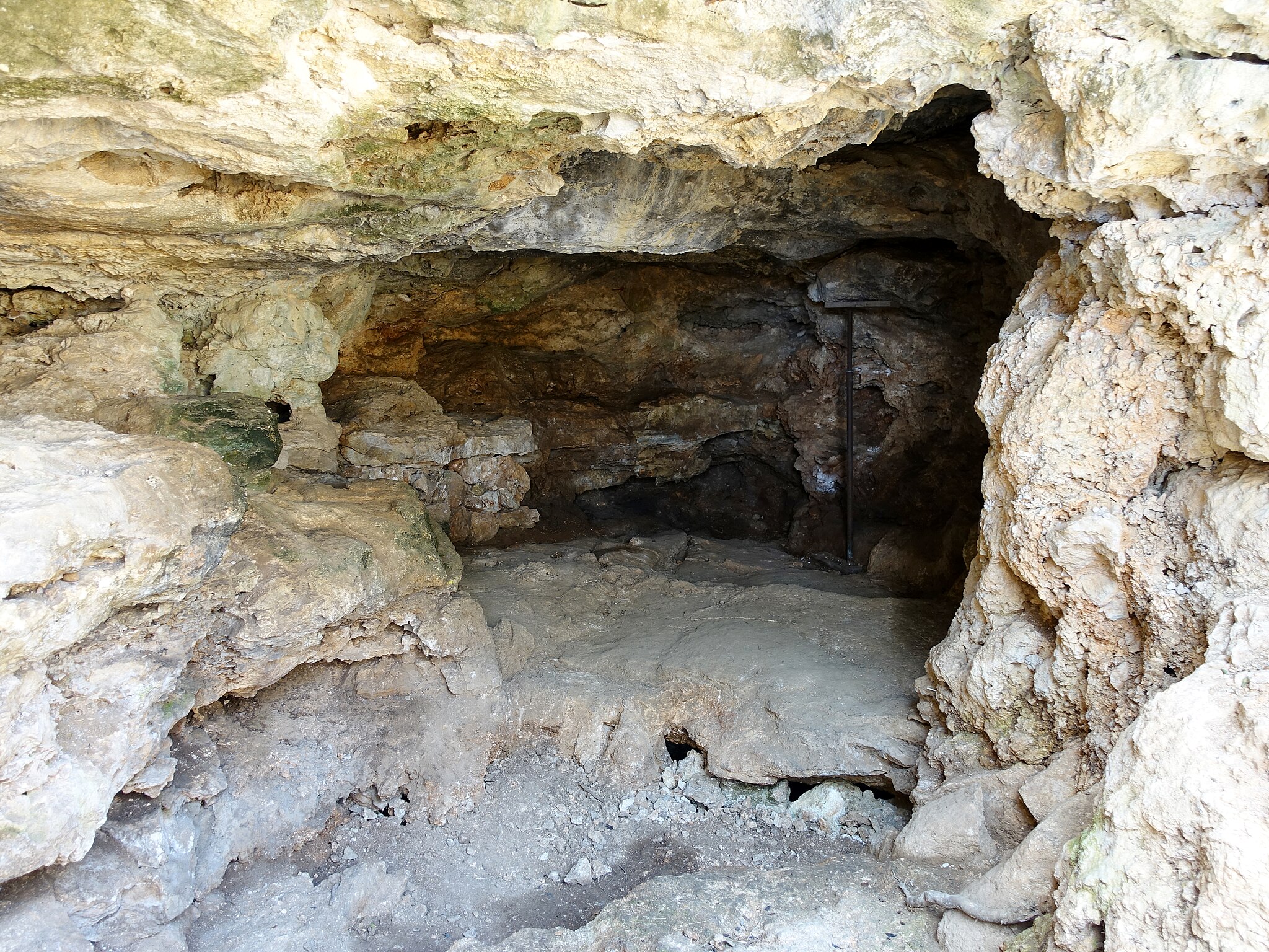 Cova_del_Camp_del_Bisbe_08