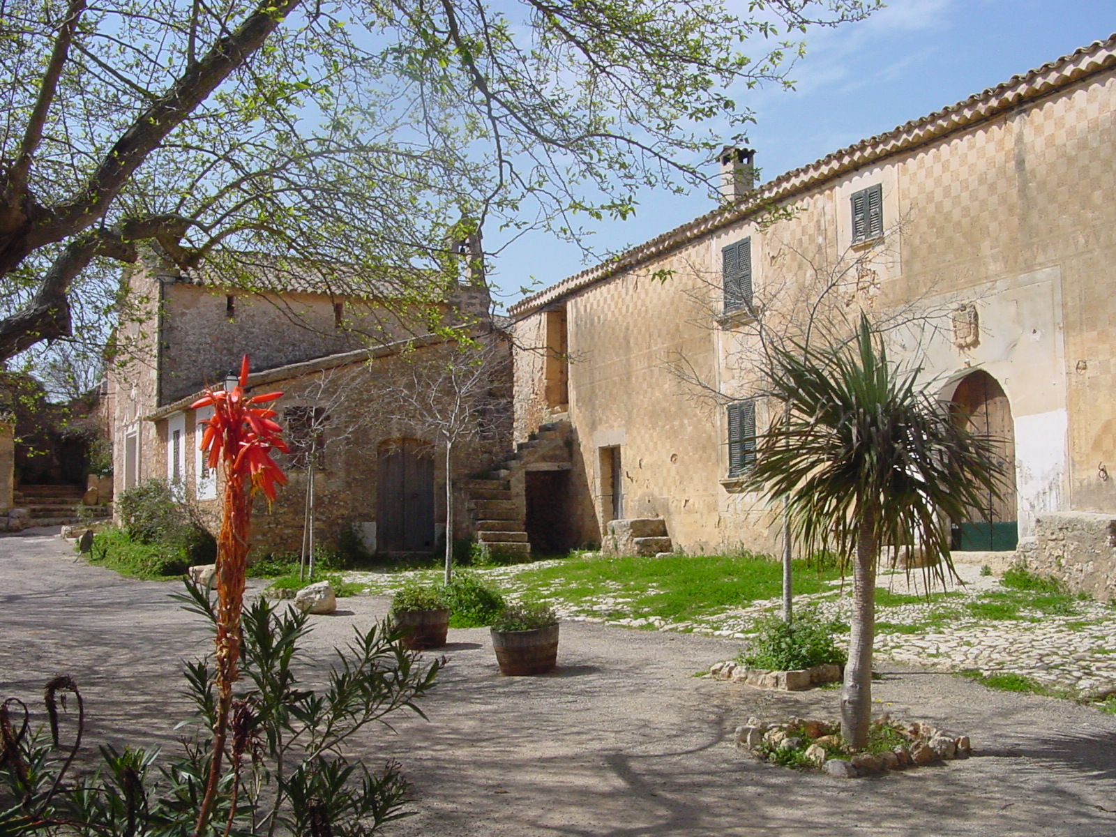 Jornets_Sencelles