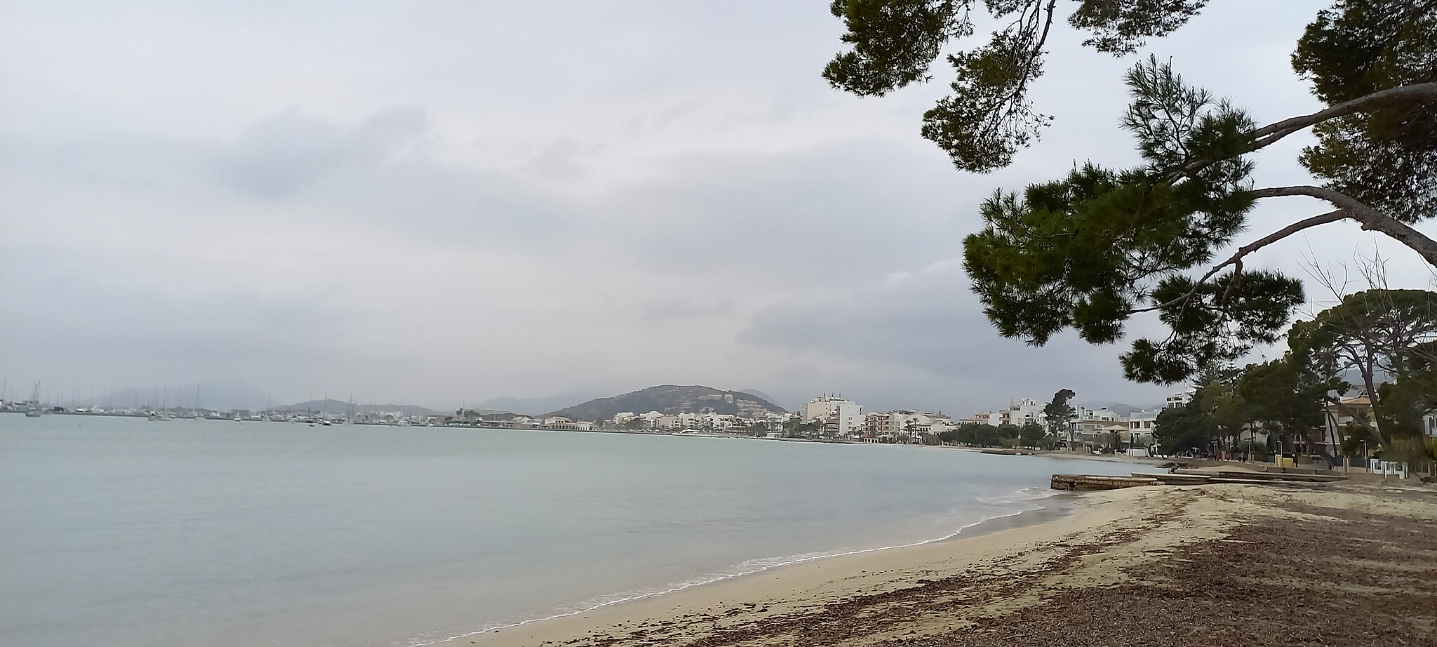 Port_de_Pollença,_Mallorca,_19-