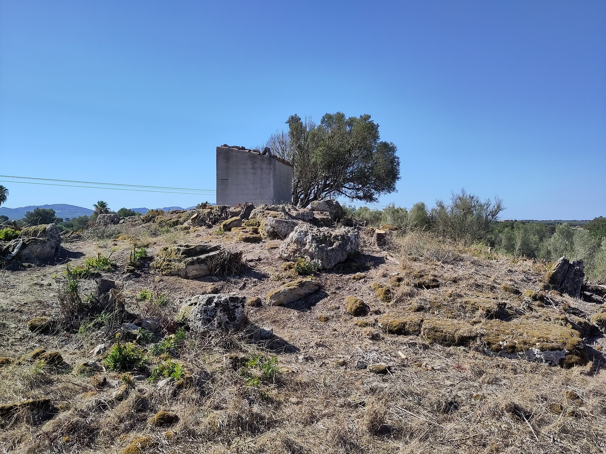 Santa_Margalida._Son_Serra._Jaciment_arqueològic_de_la_Cova_de_la_Nineta_(3)