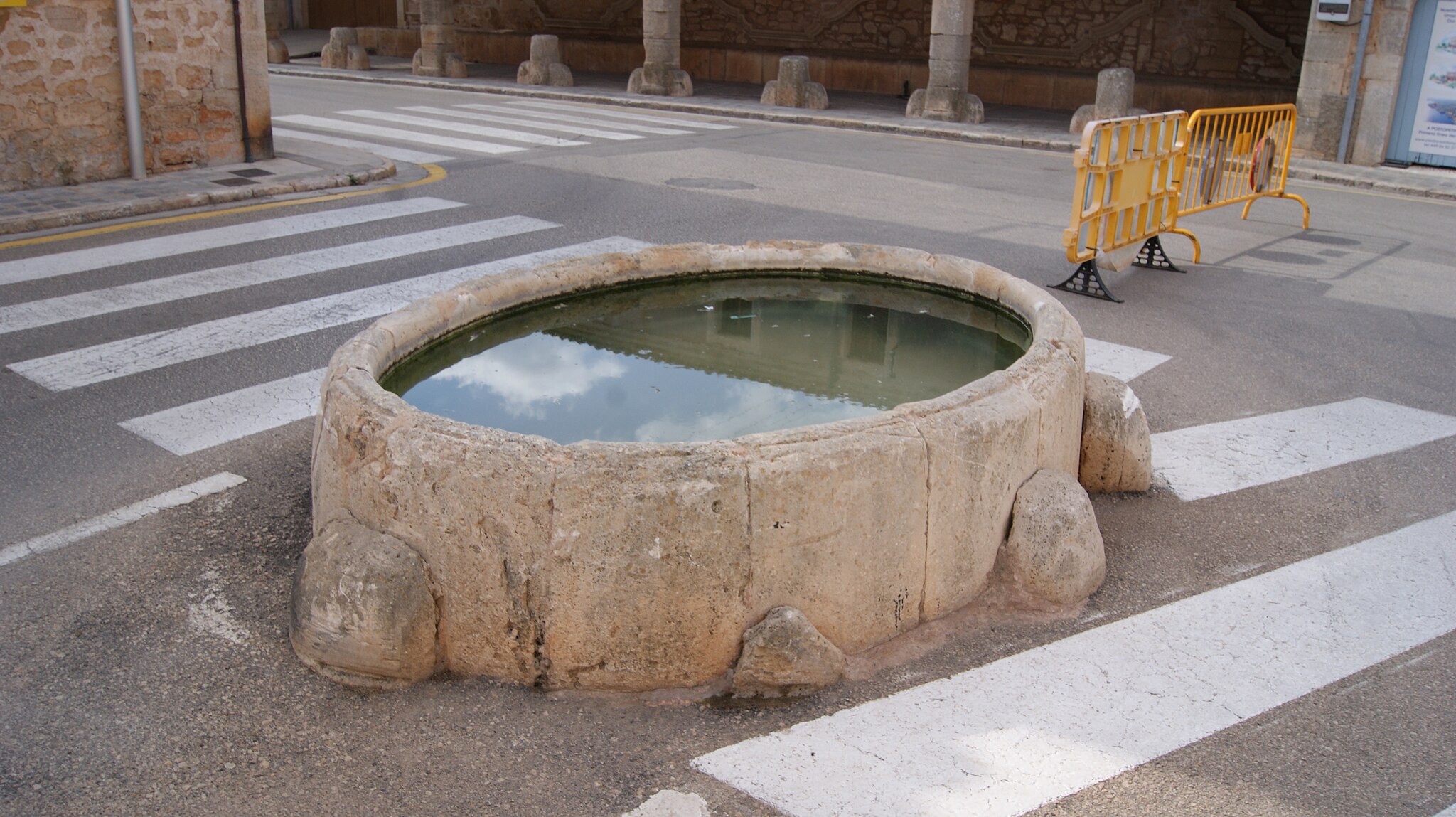 SONY DSC