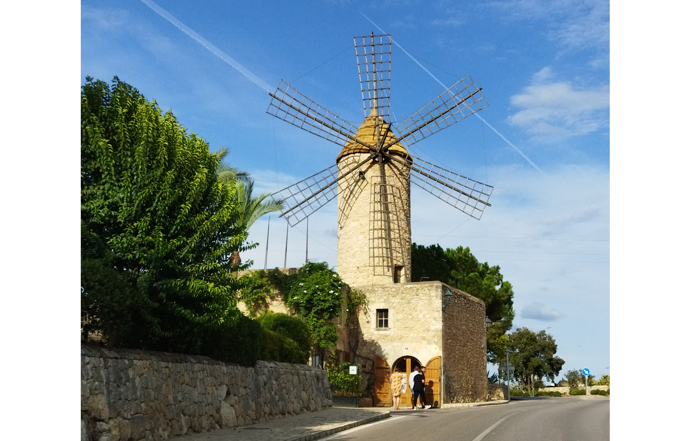 Sineu_molino