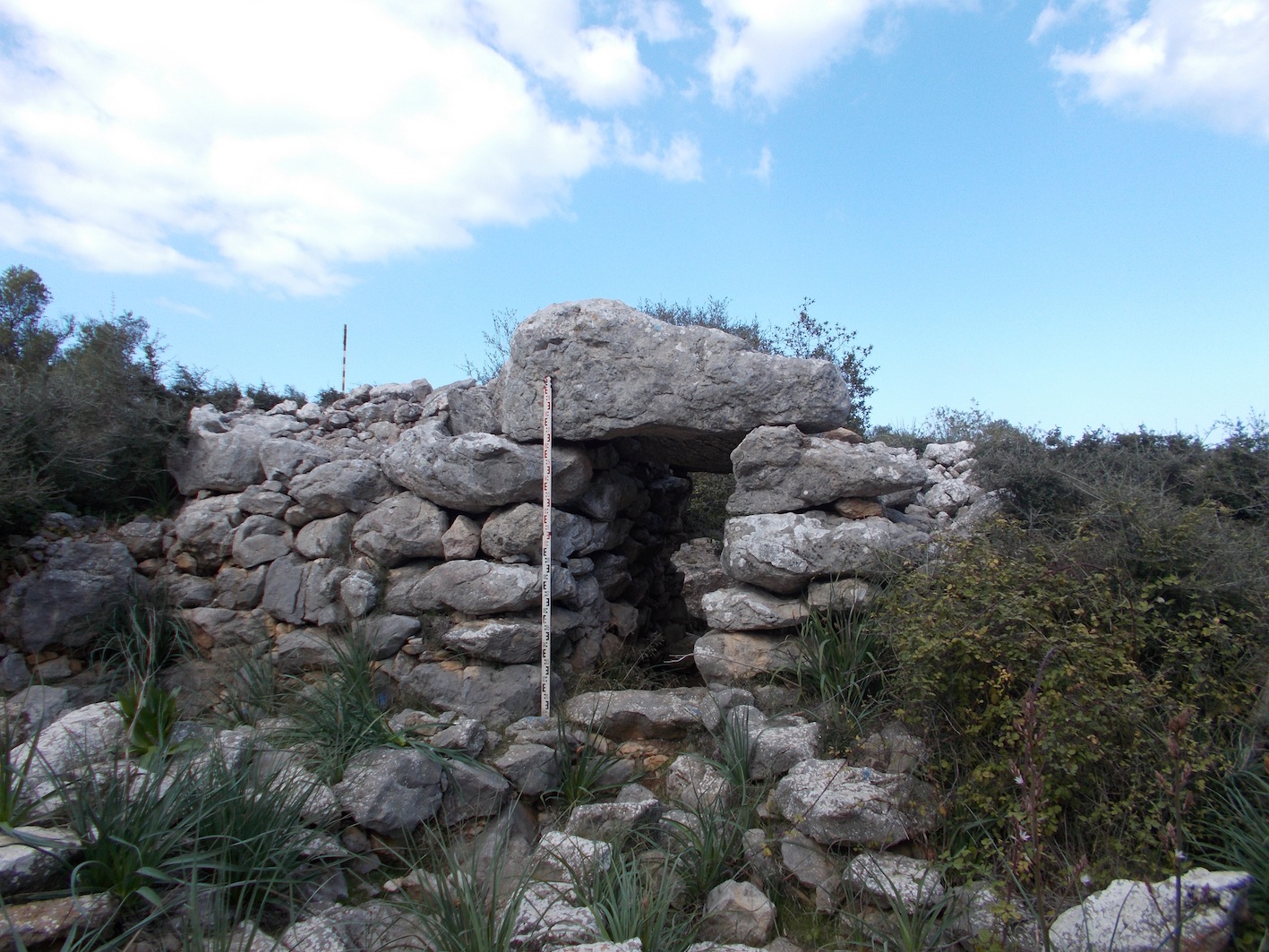Son_Ferrandell-Olesa_1_(Valldemossa)